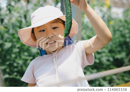 孩子們在享受收穫蔬菜的樂趣 孩子們在享受收穫蔬菜的樂趣 114865338