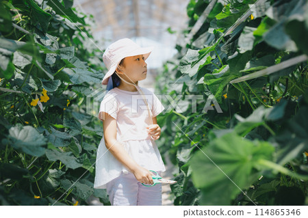 孩子們在享受收穫蔬菜的樂趣 孩子們在享受收穫蔬菜的樂趣 114865346