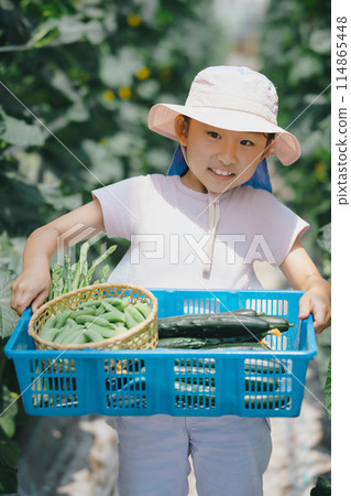 Children enjoying harvesting vegetables 114865448