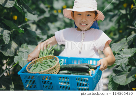 孩子們在享受收穫蔬菜的樂趣 孩子們在享受收穫蔬菜的樂趣 114865450