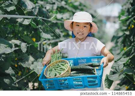 孩子們在享受收穫蔬菜的樂趣 114865453