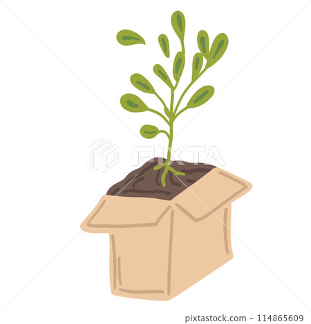 Isolated plant in a box flat design set grow your own 114865609