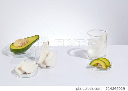 Minimal scene of a beaker and petri dishes containing avocado and coconut cut in many slices. Cosmetic beauty product production in laboratory concept Minimal scene of a beaker and petri dishes containing avocado and coconut cut in many slices. Cosmetic beauty product production in laboratory concept 114866029