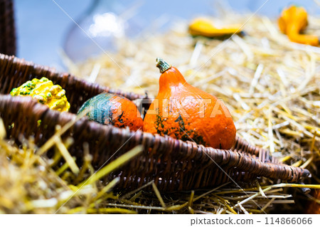 Ripe orange autumn pumpkins in wooden baskets with straw, on hay bales farmers market for Halloween. 114866066