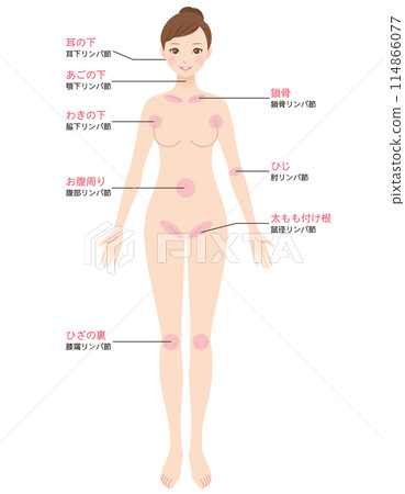 淋巴結按摩圖解 淋巴結按摩圖解 114866077