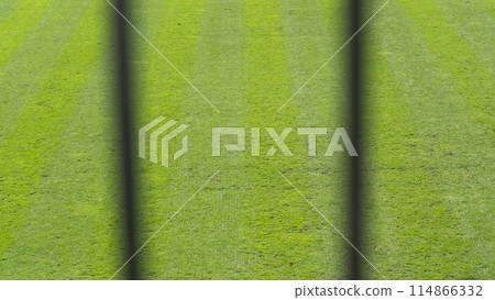 the smooth lawn of the football field the smooth lawn of the football field 114866332