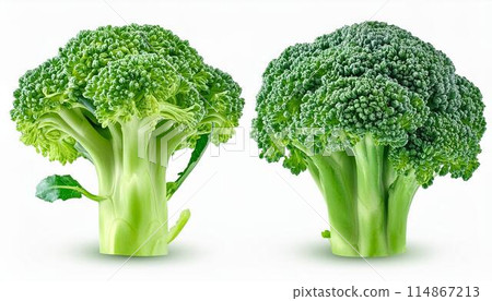 Broccoli isolated on white background 114867213