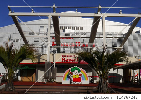 我等不及暑假了，所以我決定去夏威夷。 114867245