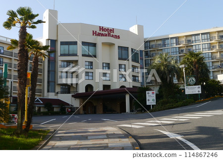 I can't wait for summer vacation, so I thought of Hawaiians. 114867246