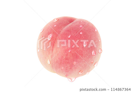 桃圖現實白色背景 114867364