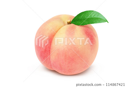 Peach illustration realistic white background 114867421