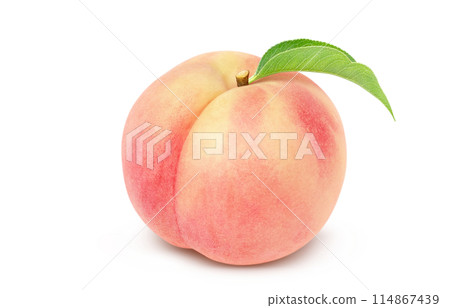 桃子插畫真實白色背景 桃子插畫真實白色背景 114867439
