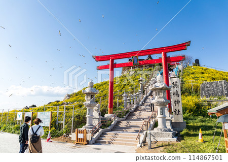 "Aomori Prefecture" Kabushima Shrine in Spring 114867501