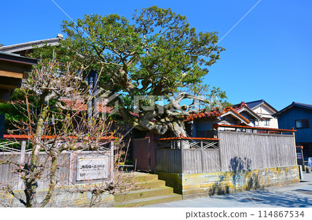 加賀橋立傳統建築群保存區、北前船之裡博物館、坂谷家 加賀橋立傳統建築群保存區、北前船之裡博物館、坂谷家 114867534