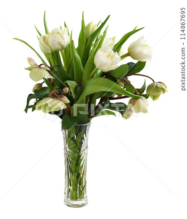 Bouquet of tulips and hellebore flowers in a glass vase isolated 114867695