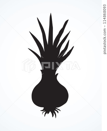 Onion. Vector drawing Onion. Vector drawing 114868093