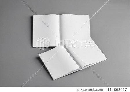 Blank open books, magazines mockup on gray background 114868437