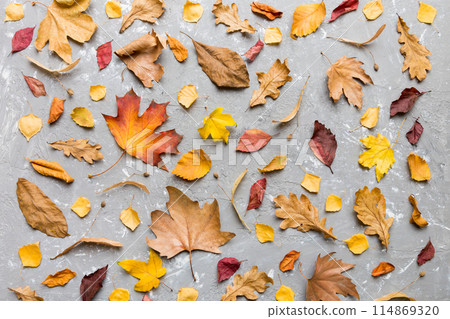 Autumn composition. Pattern made of dried leaves and other design accessories on table. Flat lay, top view 114869320