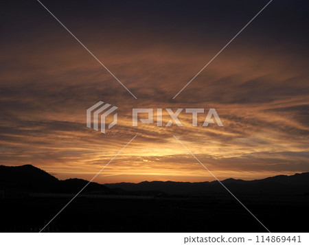 春天的花鳥平原日落（花與綠廣場） 114869441