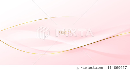 pink abstract background with luxury golden elements vector illustration 114869657