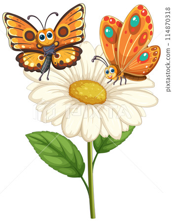 Colorful Butterflies on Daisy Flower 114870318