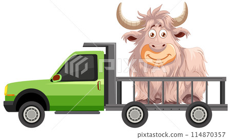 Yak Transport in a Green Pickup Truck 114870357