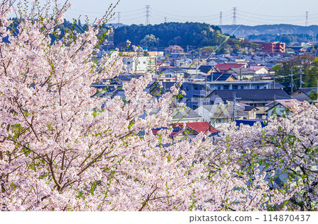 Ryujo Park in spring, Otawara City, Tochigi Prefecture Ryujo Park in spring, Otawara City, Tochigi Prefecture 114870437