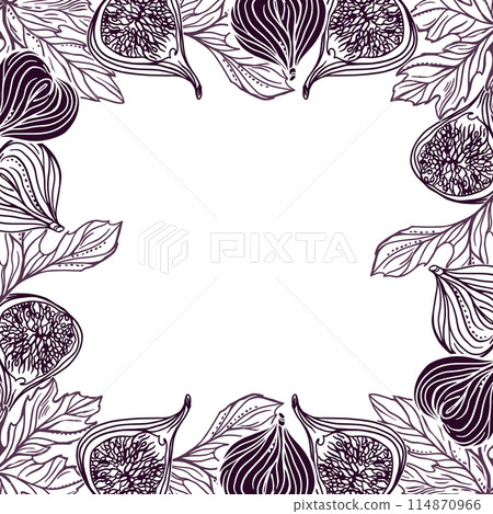 Figs square frame. Fruits and leaves. Vector illustration in graphic style. Cards, invitations, food, cosmetic labels, covers, menus, banners, posters Figs square frame. Fruits and leaves. Vector illustration in graphic style. Cards, invitations, food, cosmetic labels, covers, menus, banners, posters 114870966
