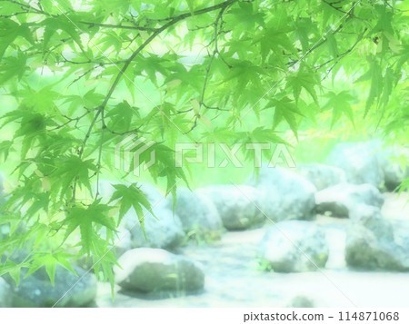 新鮮的綠色楓葉在藍天的襯托下閃閃發光 114871068