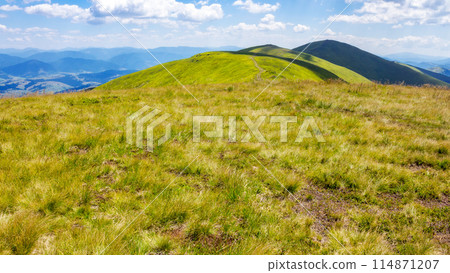 scenery with grassy alpine meadow. beautiful carpathian mountain landscape of borzhava ridge. popular travel destination of ukraine on a sunny day in summer 114871207