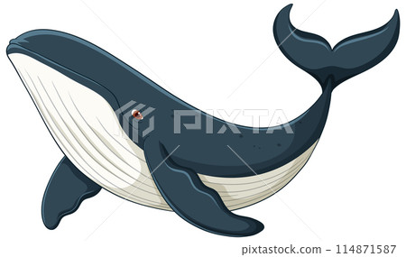 Majestic Blue Whale Illustration Majestic Blue Whale Illustration 114871587