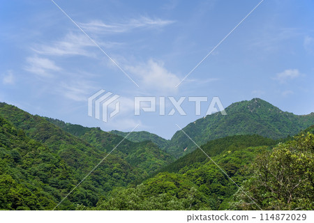 清新的青山藍天（季節/景觀素材） 114872029