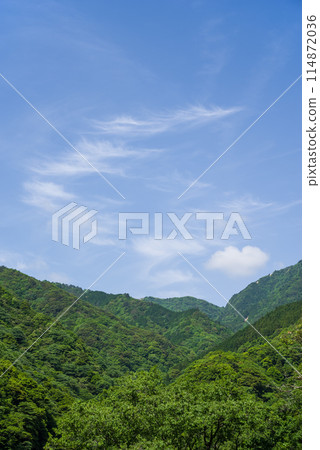 Fresh green mountains and blue sky《Seasonal/Landscape material》 114872036