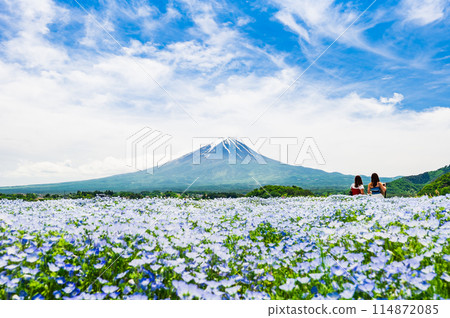 富士和Nemophila 富士和Nemophila 114872085