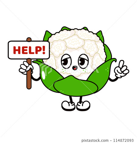 Cauliflower with an inscription help character. Vector hand drawn traditional cartoon vintage, retro, kawaii character illustration icon. Isolated white background. Cauliflower character Cauliflower with an inscription help character. Vector hand drawn traditional cartoon vintage, retro, kawaii character illustration icon. Isolated white background. Cauliflower character 114872093