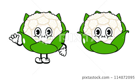Cauliflower character. Vector hand drawn traditional cartoon vintage, retro, kawaii character illustration icon. Isolated on white background. Cauliflower character concept Cauliflower character. Vector hand drawn traditional cartoon vintage, retro, kawaii character illustration icon. Isolated on white background. Cauliflower character concept 114872095