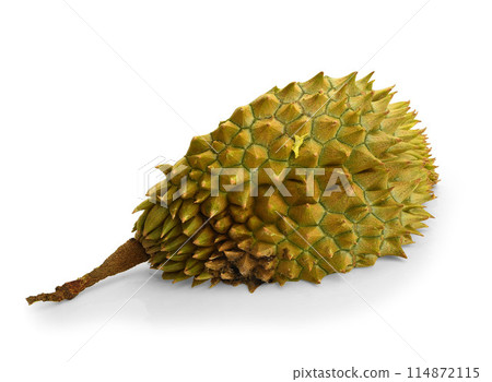 Durian tropical fruit peel isolated on white background. 114872115