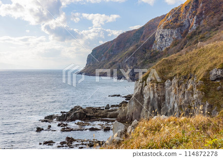 Tachimachi角 114872278