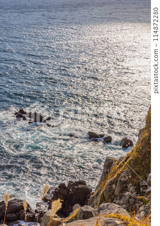 Tachimachi角 114872280