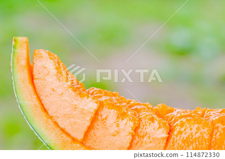 melon melon 114872330