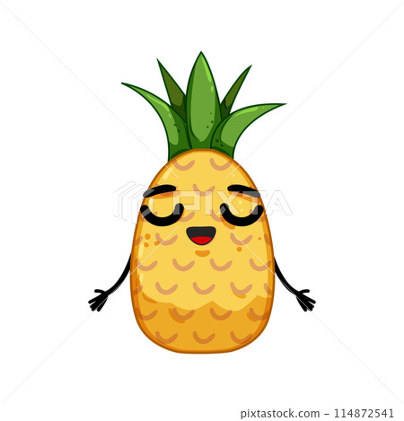 fun pineapple character cartoon vector illustration 114872541