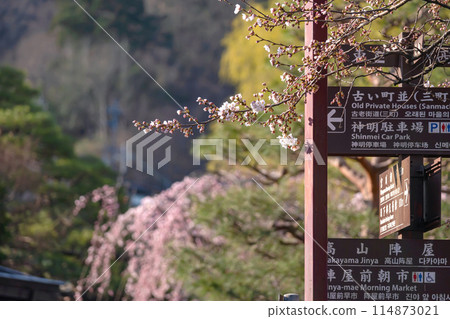 240412 中橋櫻g080 240412 中橋櫻g080 114873021