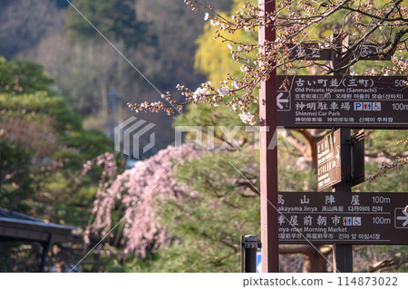 240412 中橋櫻g075 240412 中橋櫻g075 114873022