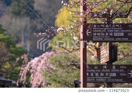 240412 中橋櫻 g074 114873023
