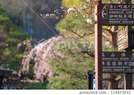 240412 中橋櫻g059 114873032