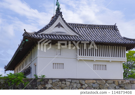 Saga Castle turret 114873408