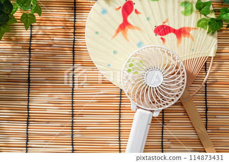 Portable fans and hand fans 114873431