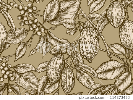 Coffee and chocolate. Vector illustration. In botanical style Coffee and chocolate. Vector illustration. In botanical style 114873453