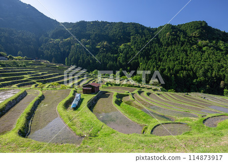 Maruyama Senjita Maruyama Senjita 114873917