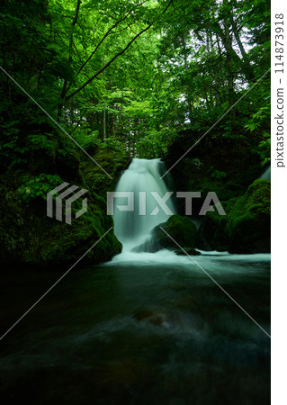 Fresh green and falls Fresh green and falls 114873918